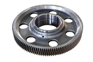 spur gear shaft